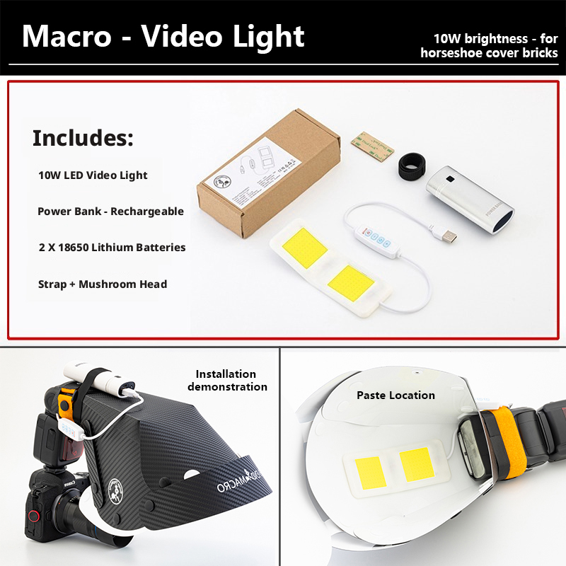 Mini Flash de Foco de 10W para - Photography Lighting Softbox avaliação e preço