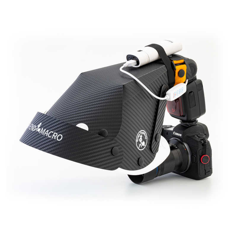 Mini Flash de Foco de 10W para - Photography Lighting Softbox avaliação e preço